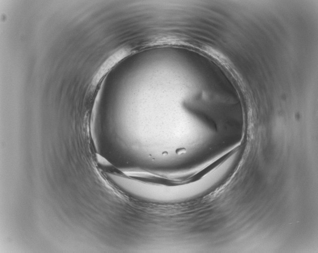 X0000054471241200508191720