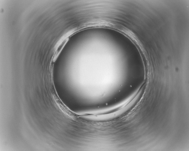 X0000054471242200508191720