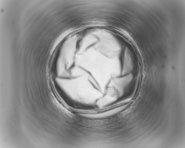 X0000054471243200508191720