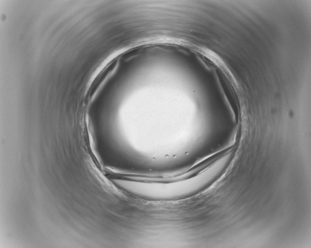 X0000054471244200508191720