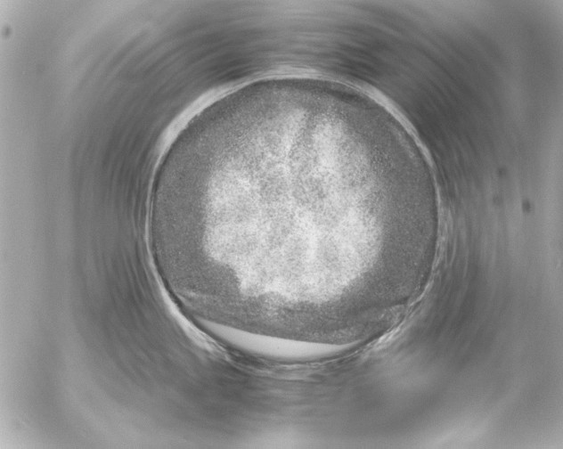 X0000054471245200508191720