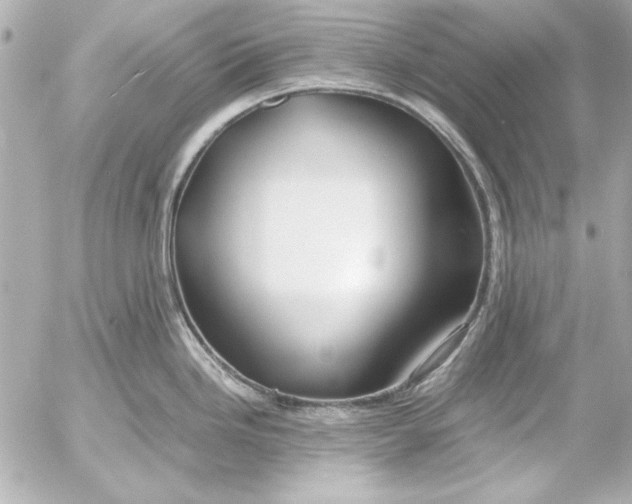 X0000054471246200508191720