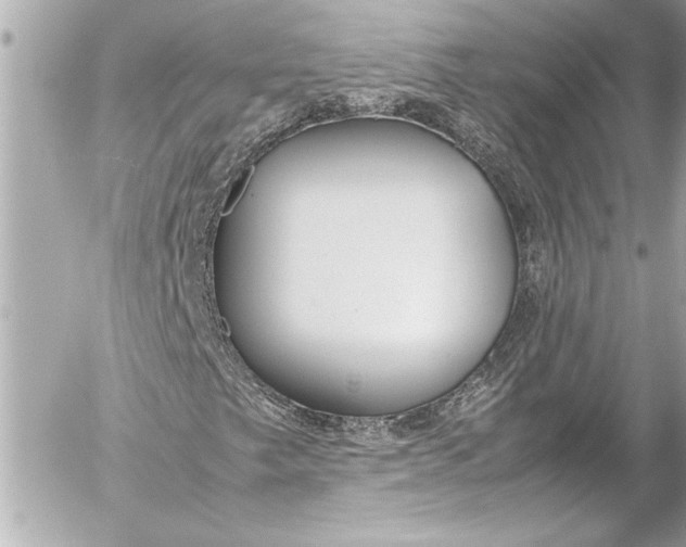 X0000054471249200508191719