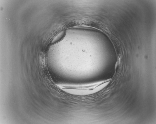 X0000054471251200508191719