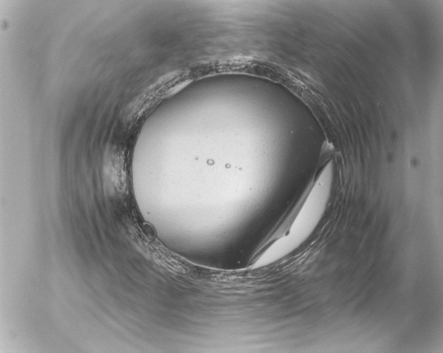 X0000054471252200508191719