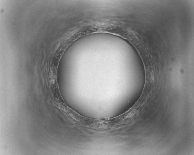 X0000054471253200508191719