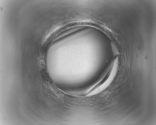 X0000054471255200508191719