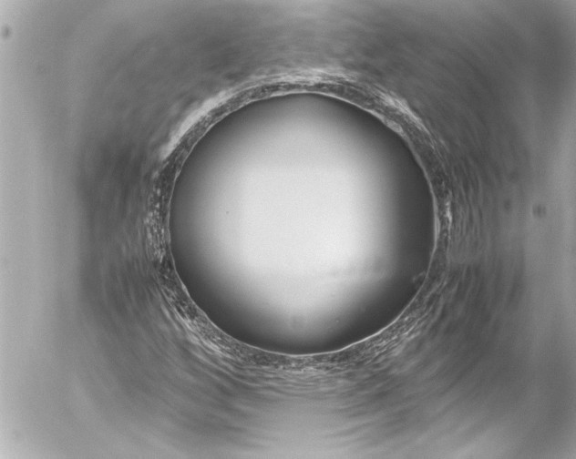 X0000054471256200508191719