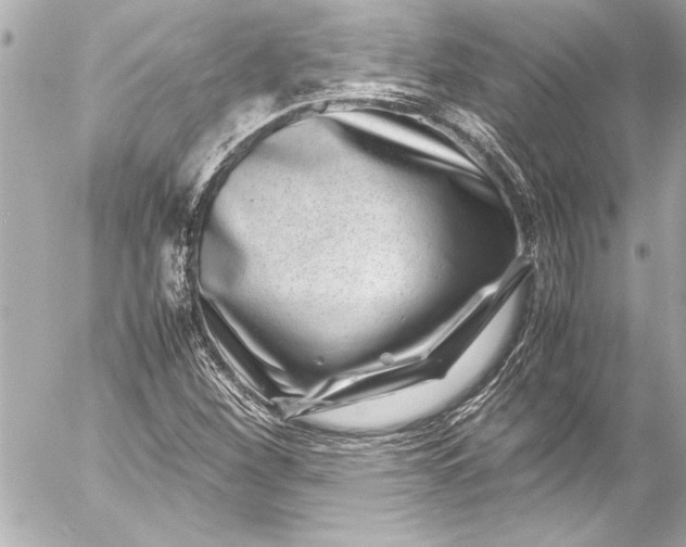 X0000054471260200508191719