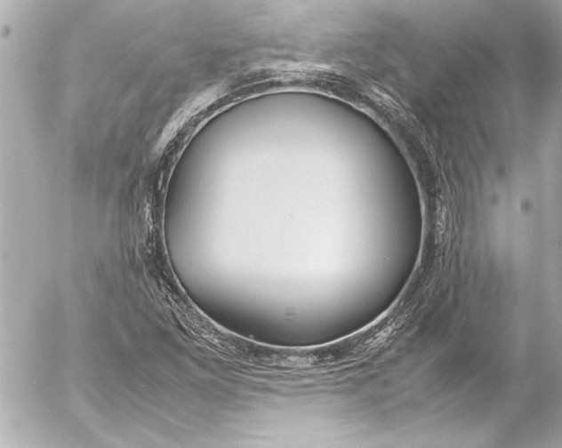 X0000054471261200508191719