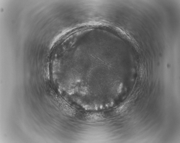 X0000054471262200508191719