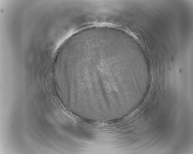 X0000054471263200508191719