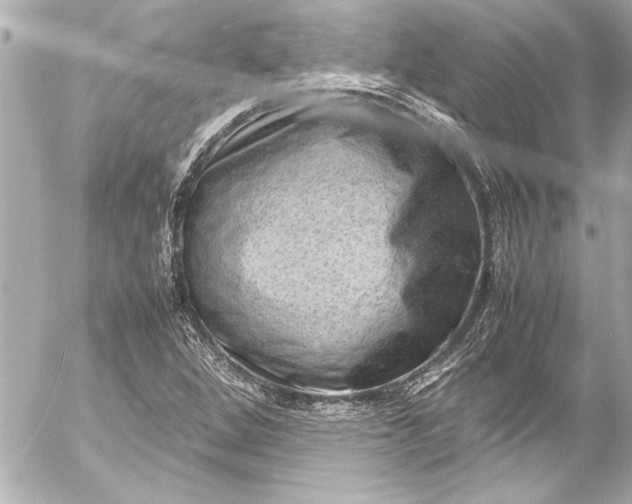 X0000054471264200508191719