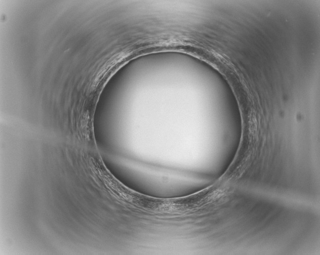 X0000054471265200508191719