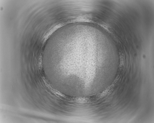 X0000054471266200508191719