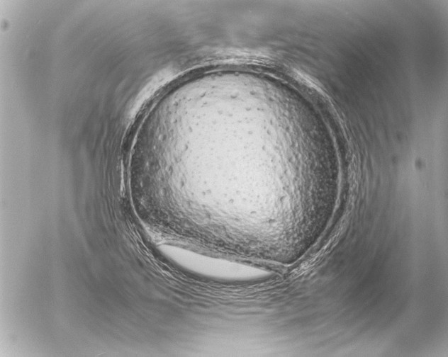 X0000054471267200508191719