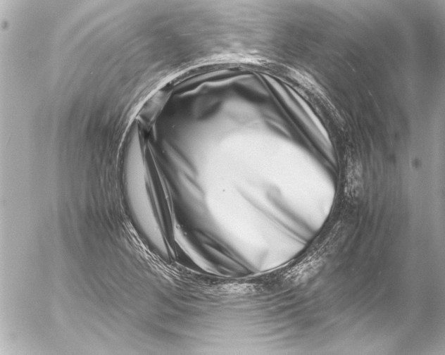 X0000054471268200508191719