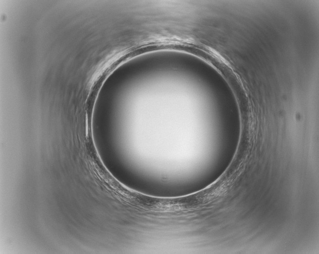 X0000054471269200508191718