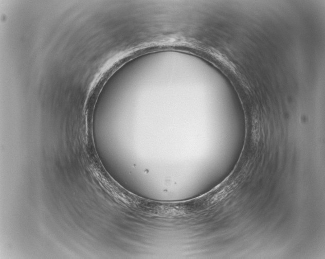 X0000054471270200508191718