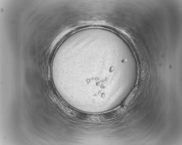 X0000054471271200508191718