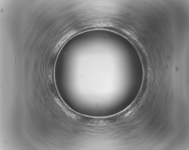 X0000054471273200508191718