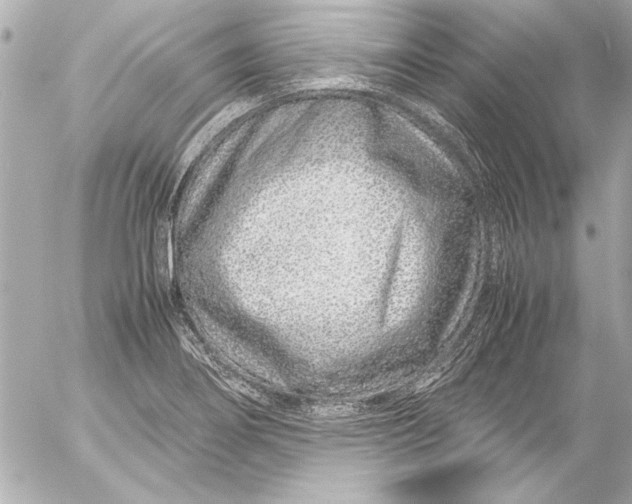 X0000054471274200508191718