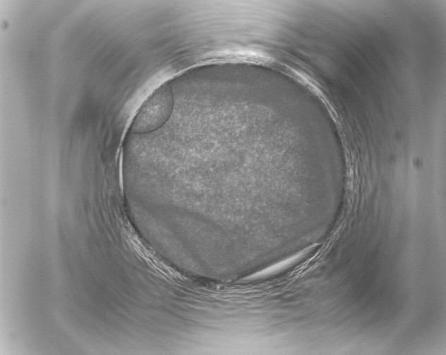 X0000054471275200508191718