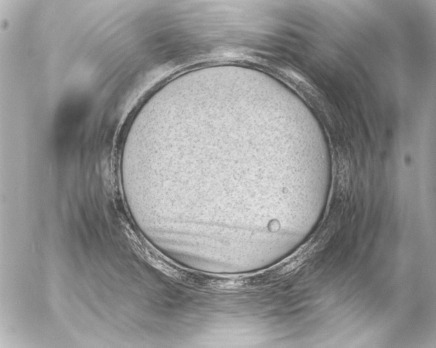 X0000054471278200508191718