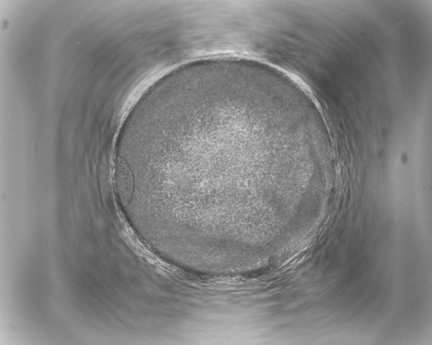 X0000054471279200508191718