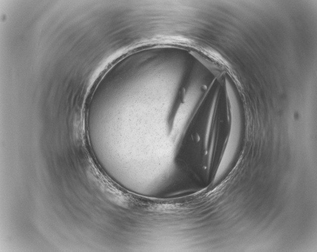 X0000054471280200508191718