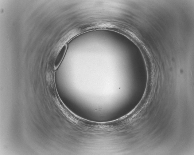 X0000054471281200508191718