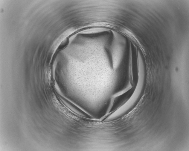 X0000054471284200508191718