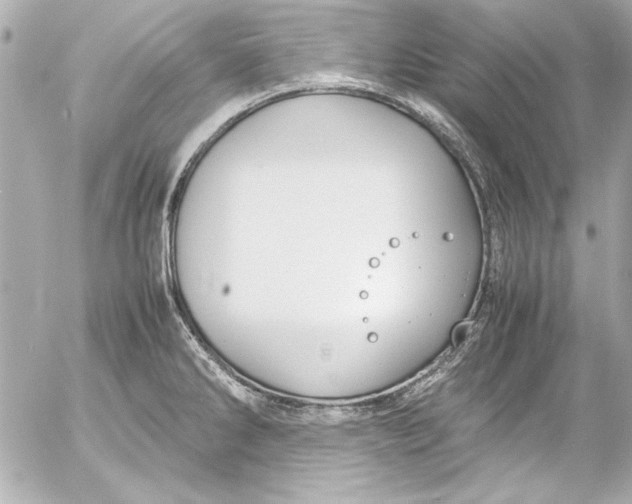 X0000054471286200508191718