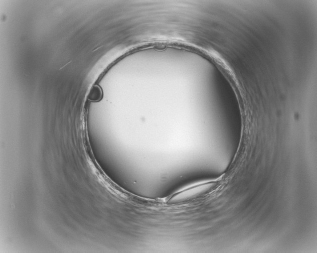 X0000054471287200508191718