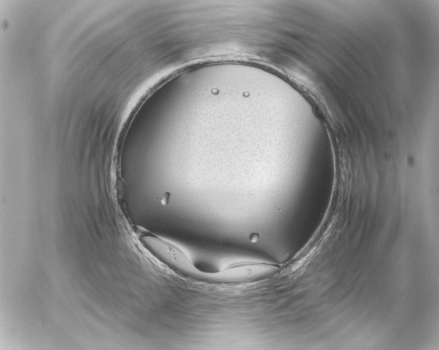 X0000054471288200508191718