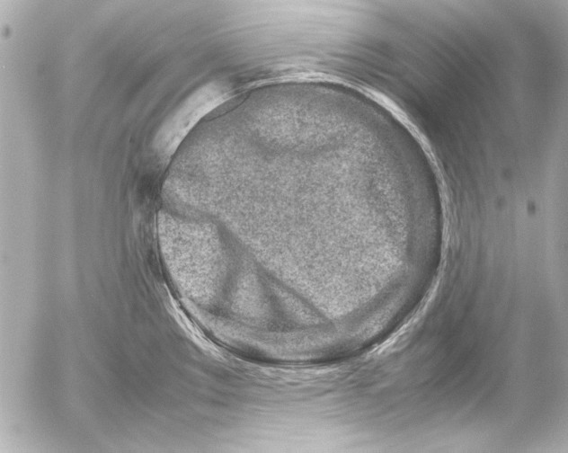 X0000054471289200508191718