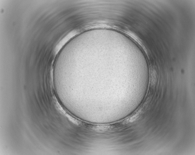 X0000054471290200508191718