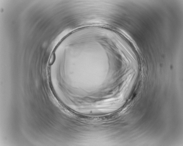 X0000054471291200508191718