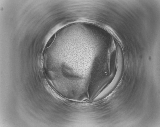 X0000054471292200508191718