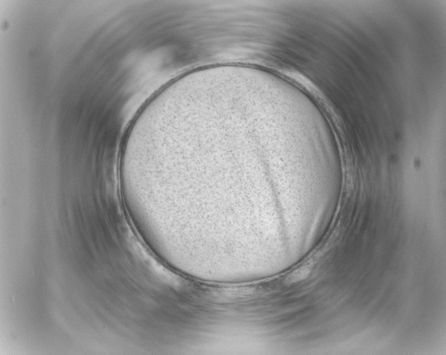 X0000054471294200508191718