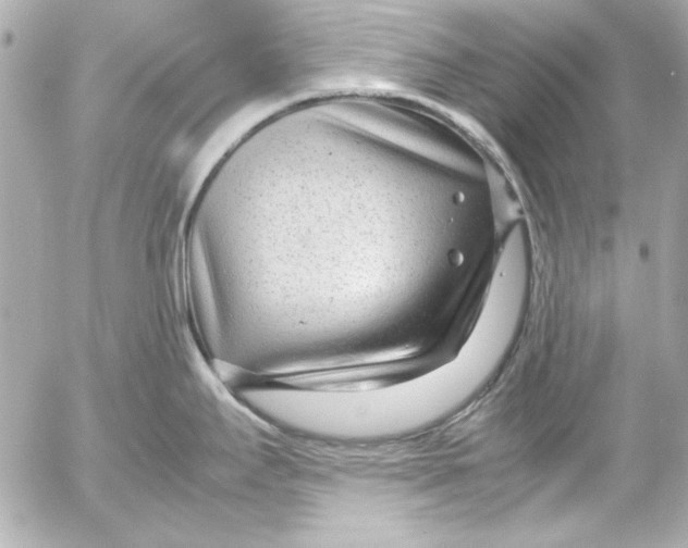 X0000054471295200508191718