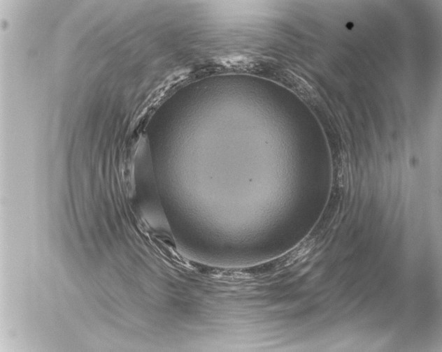 X0000054471298200508191717