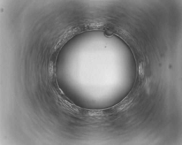 X0000054471299200508191717