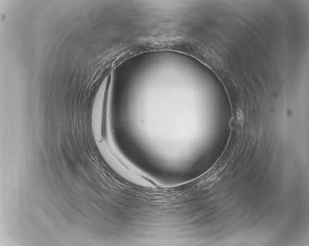 X0000054471300200508191717