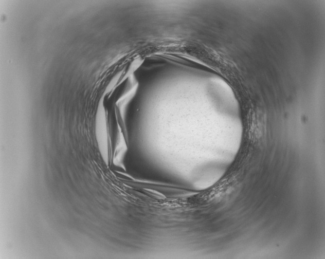 X0000054471301200508191717