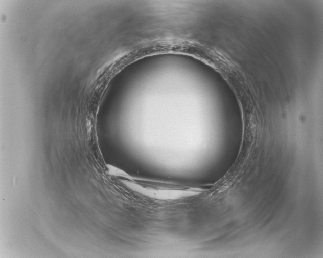 X0000054471302200508191717