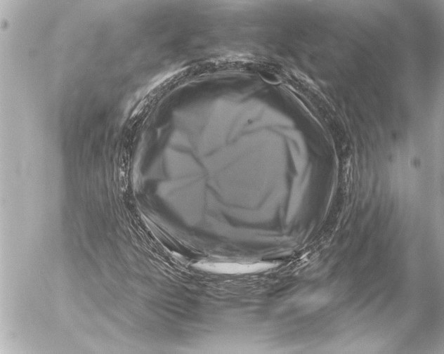 X0000054471303200508191717