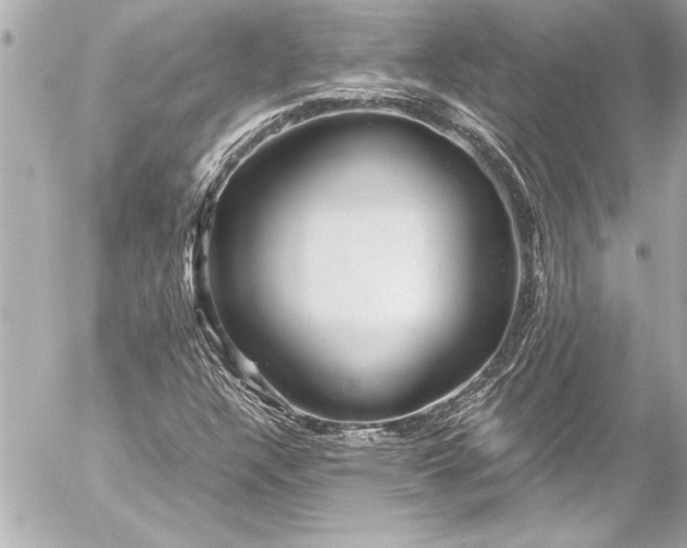 X0000054471304200508191717