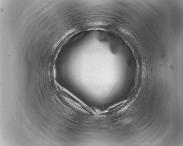 X0000054471305200508191717