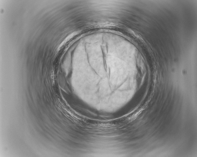 X0000054471306200508191717